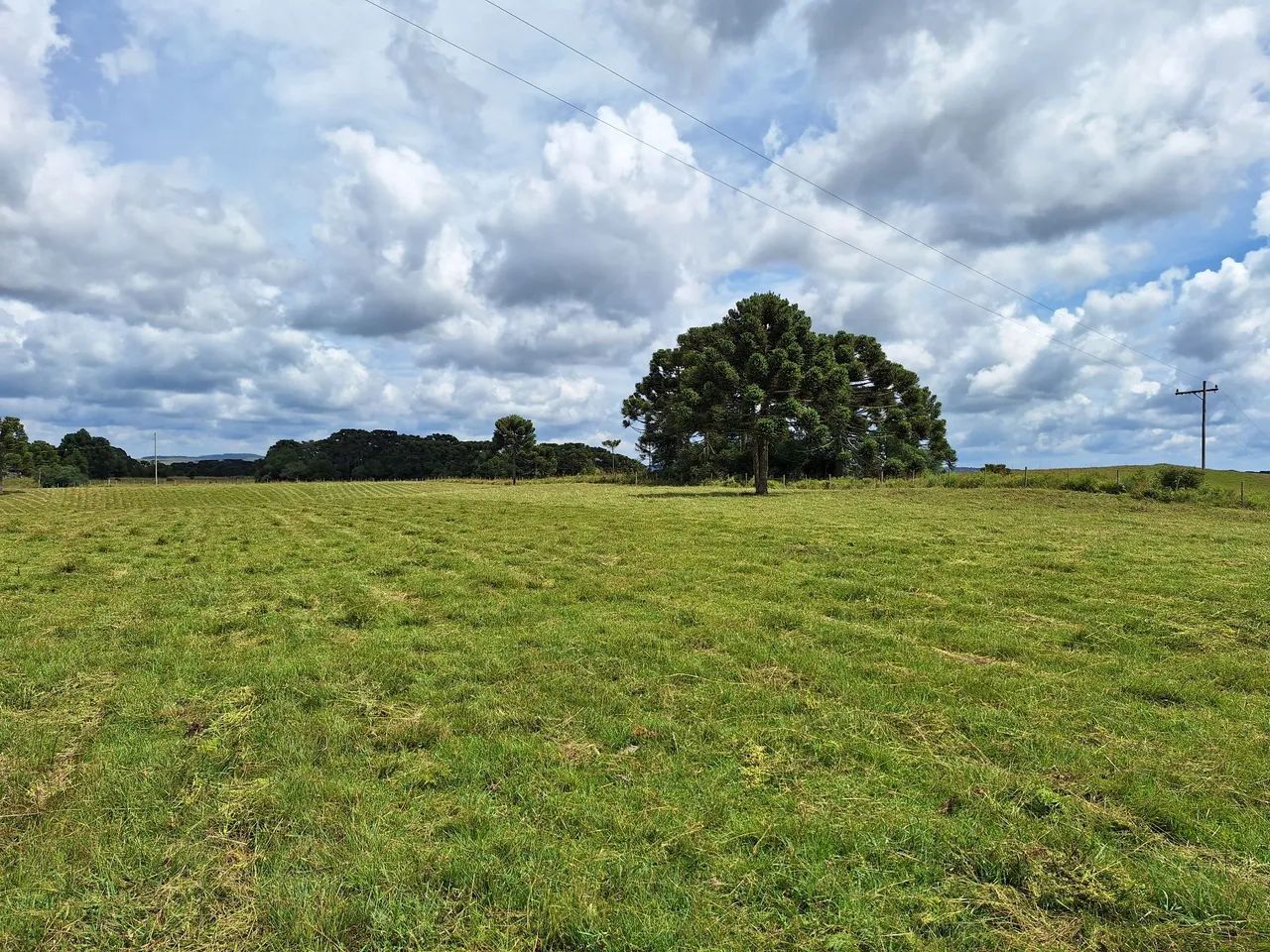 Linda área de campo na serra gaúcha. - Foto 6