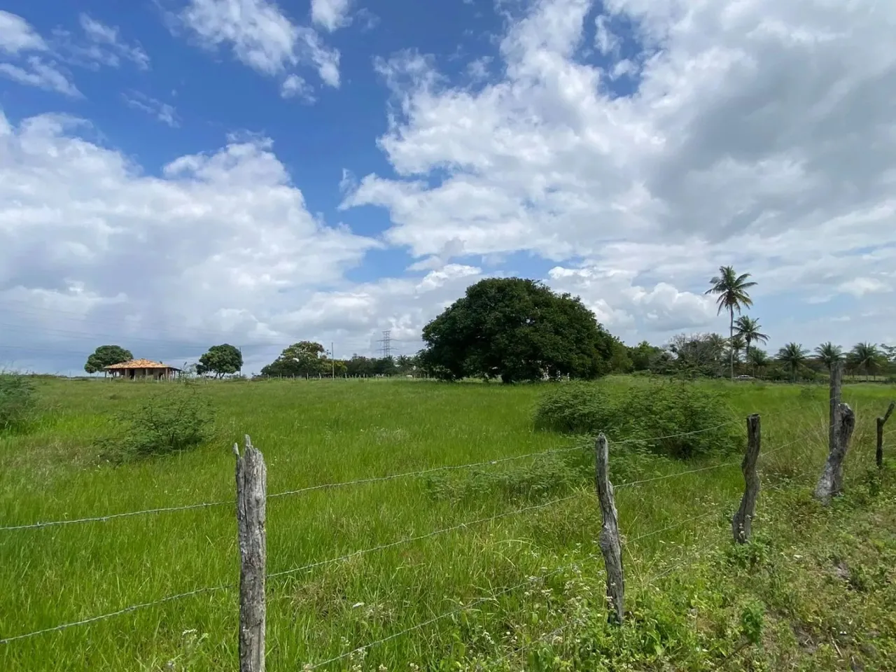 Terreno Em Itabaiana - Lagoa Do Forno
