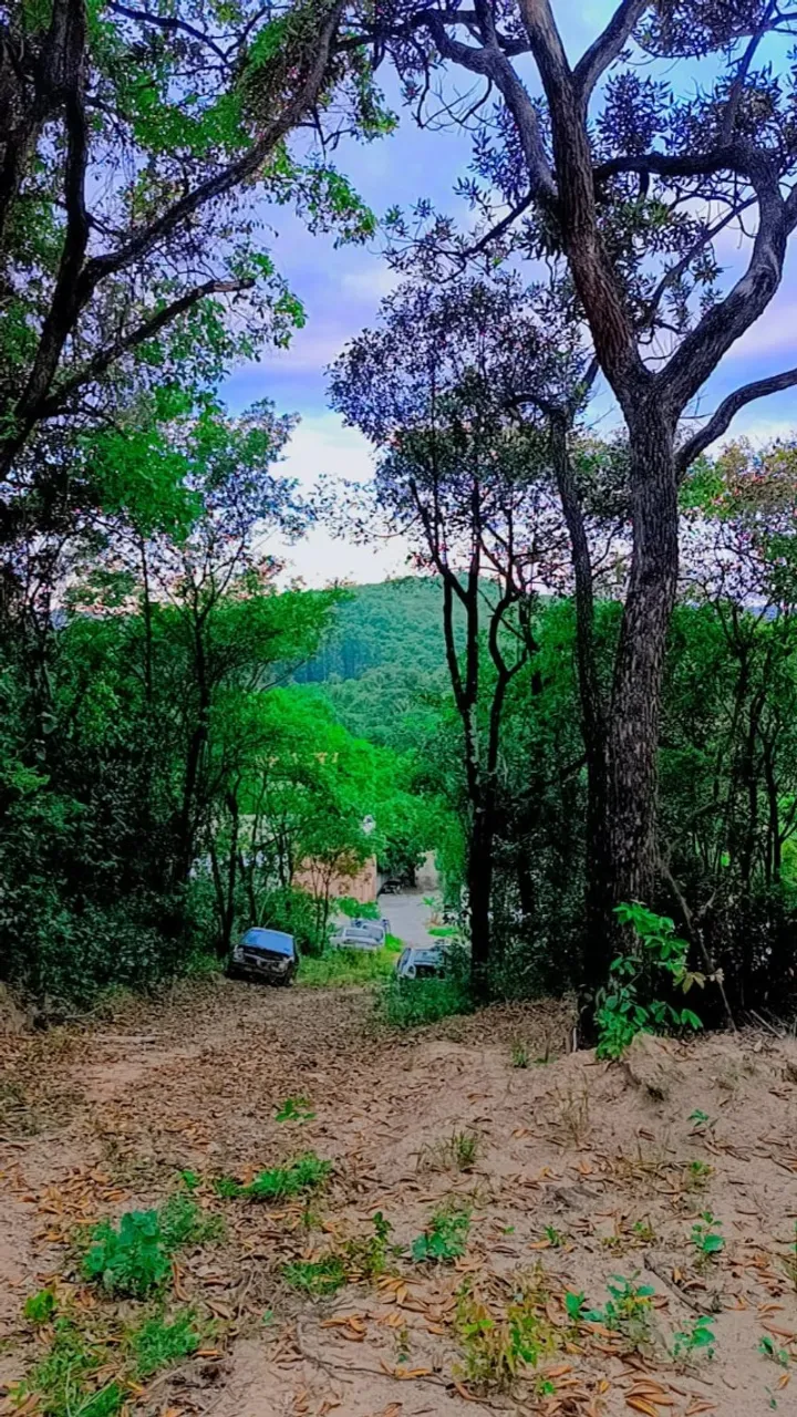 Terreno 2.500m2