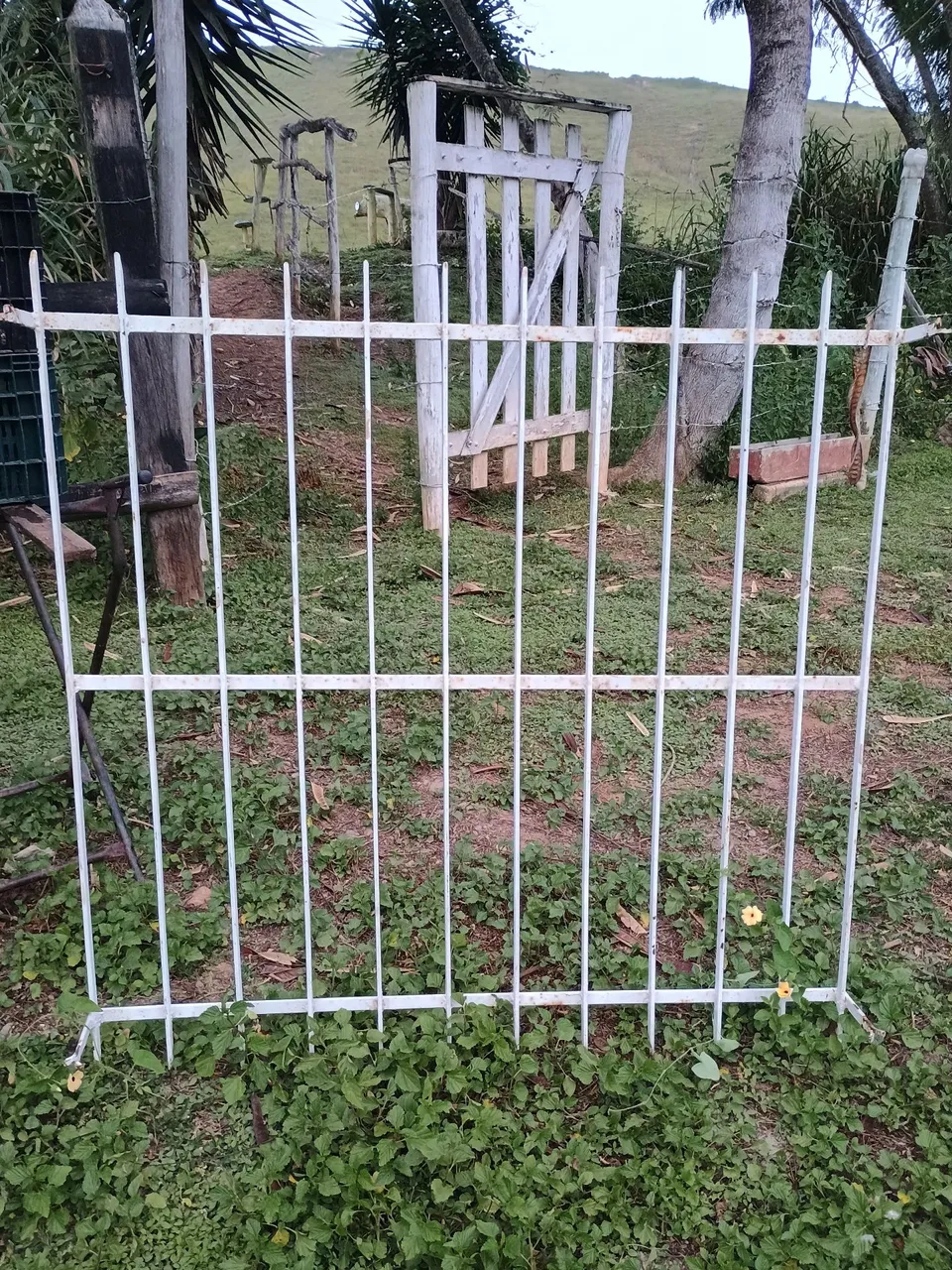 Grade de ferro e bombona de plástico 