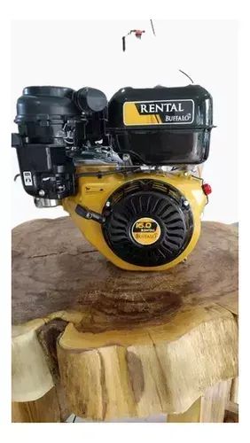 MOTOR  BFG 4T 16.0CV RENTAL-Buffalo - Foto 2