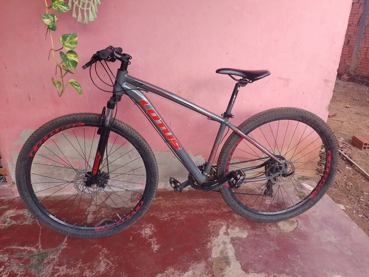 Bicicleta Lotus Aro 29