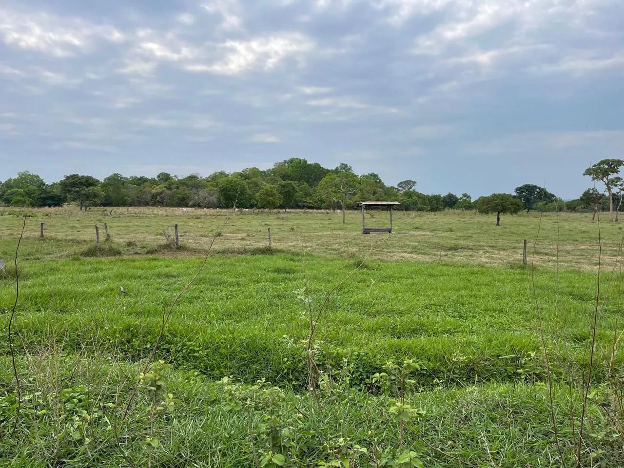 Fazenda plana em Itapirapuã  - Foto 4