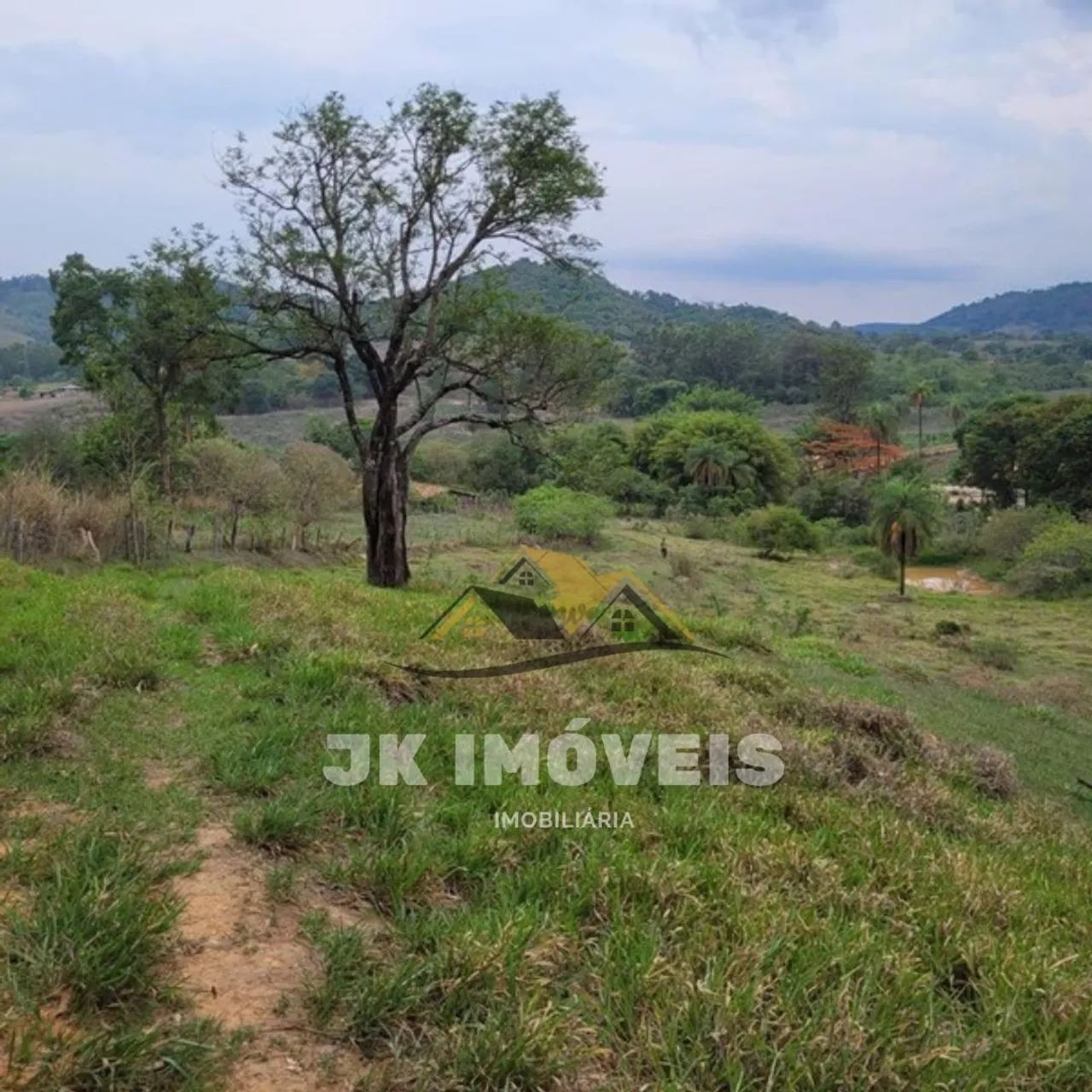Fazenda de 41 hectares em Mateus leme - Foto 5
