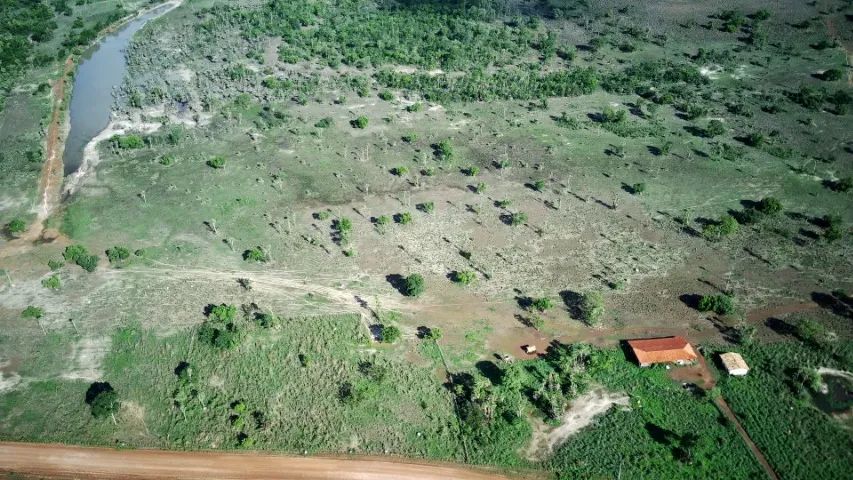 Fazenda de 1450 Hectares - José de Freitas PI - Foto 3