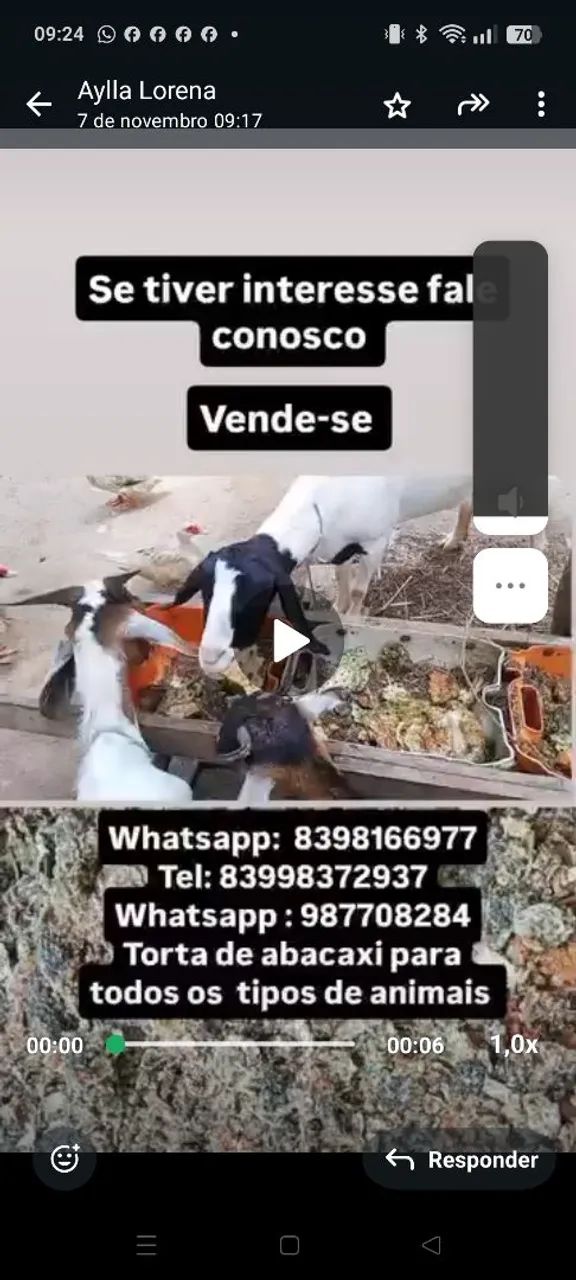 Alimentação animal - Foto 3