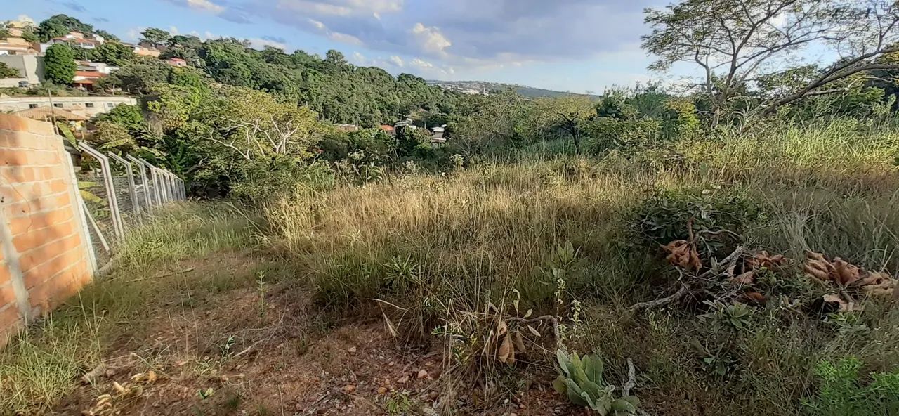 Lotes de 200 m2 - Foto 4