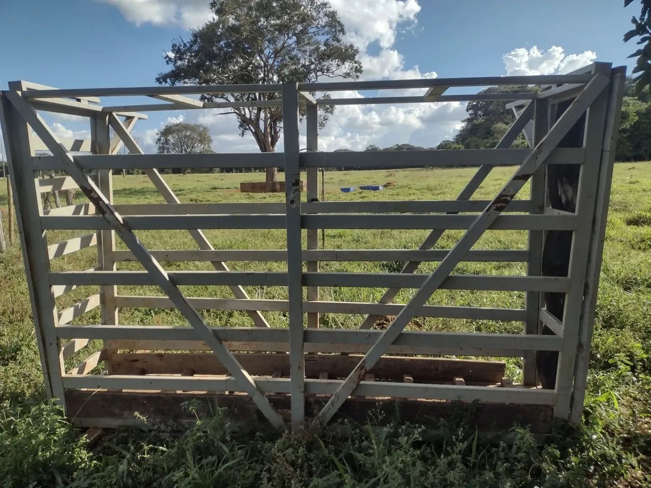 Tronco de contenção e balança bovina 