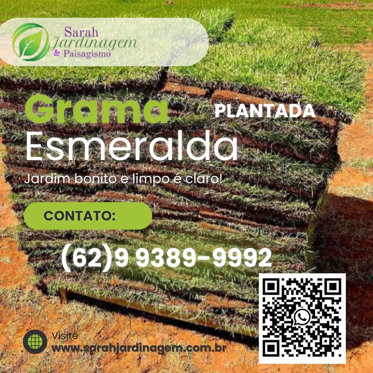 Grama Esmeralda Plantada Tapetes - Jardim Bonito e Limpo