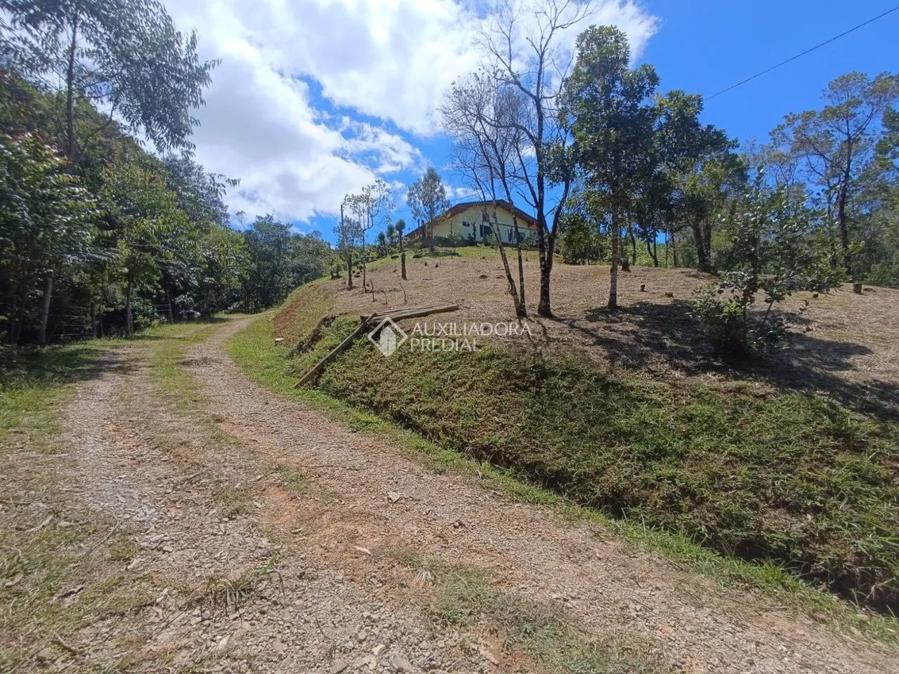 Natureza em estado puro, pronta para se transformar em oportunidade