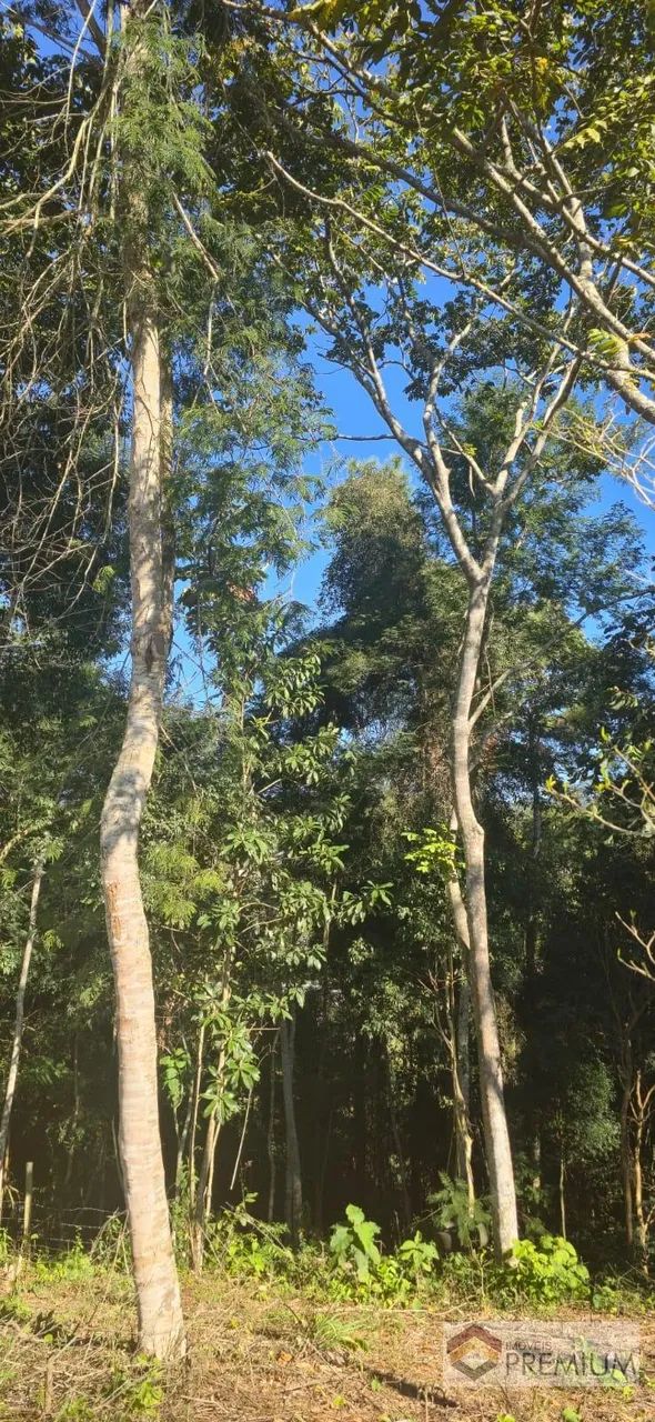 Lote / Terreno em Tapanhão - Jambeiro - Foto 3