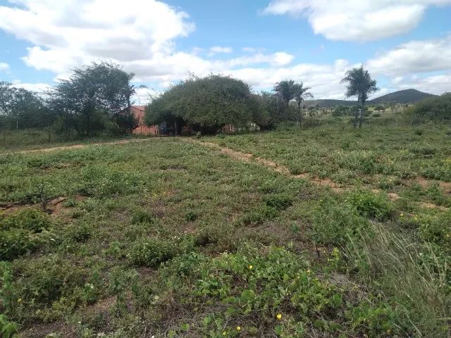 LOTE DE 1 TAREFA (4.356M²)