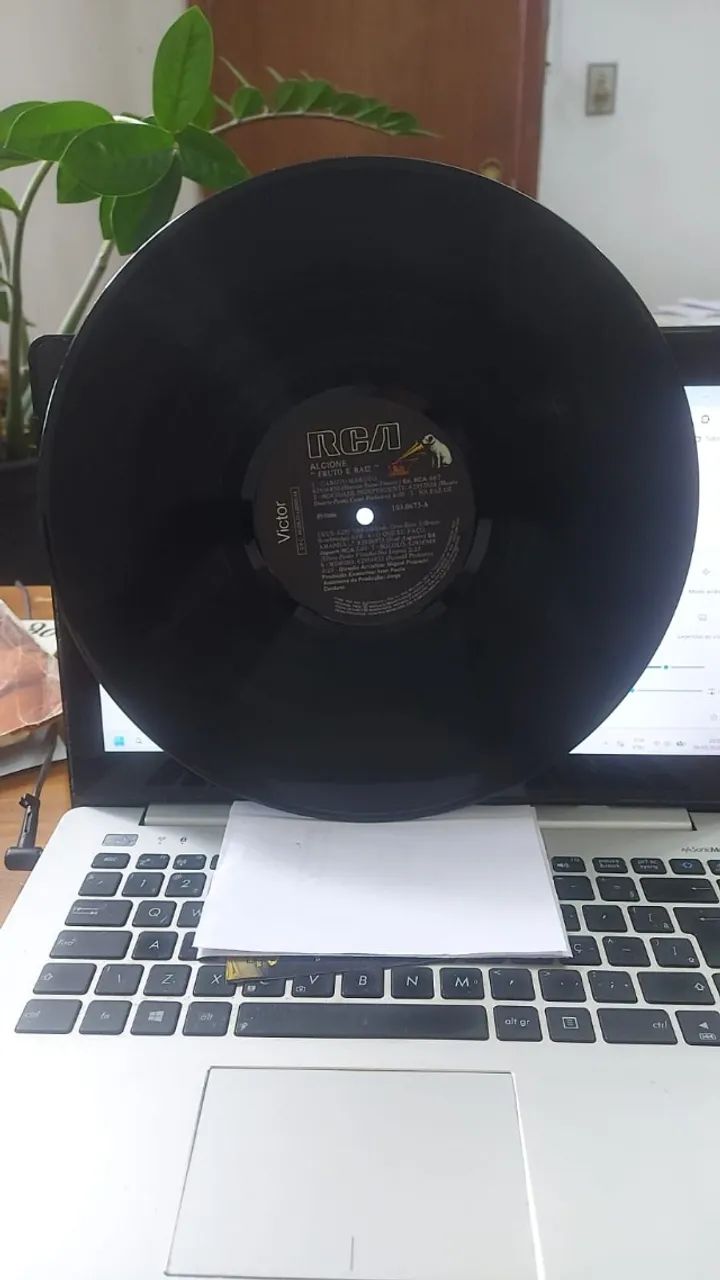 LP - Alcione - Fruto e raiz - Foto 3