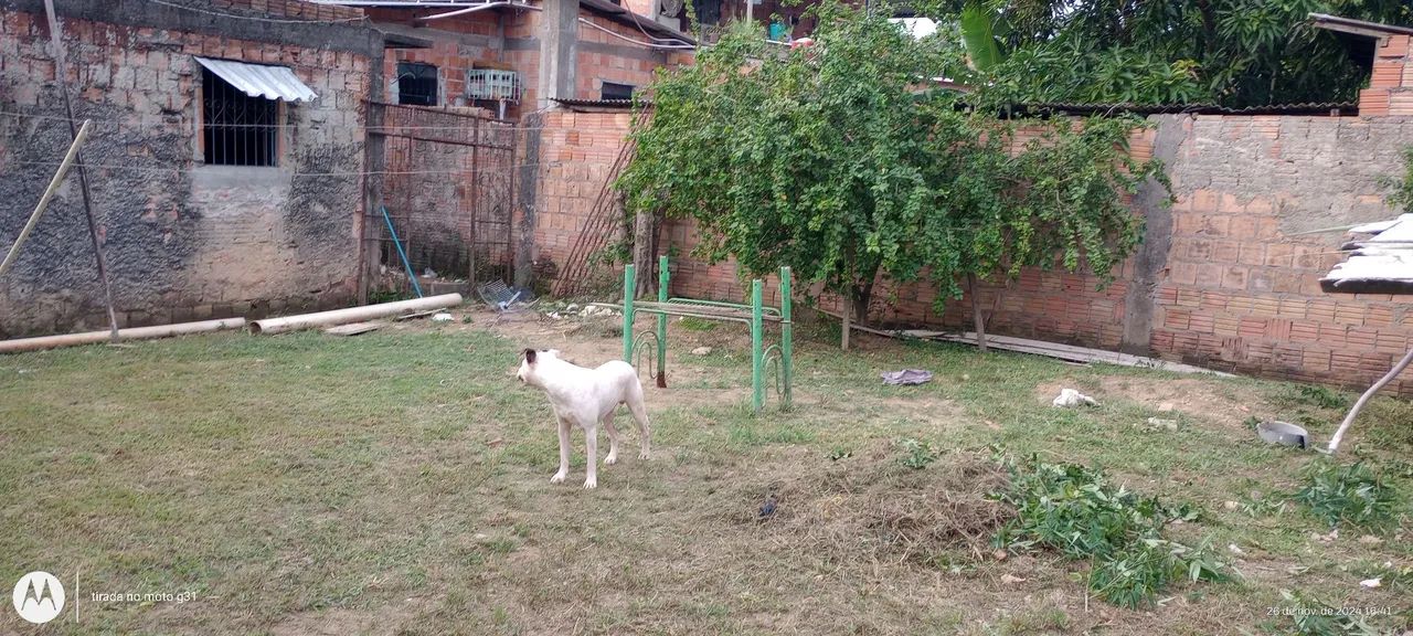 Terreno a venda n redenção  - Foto 5
