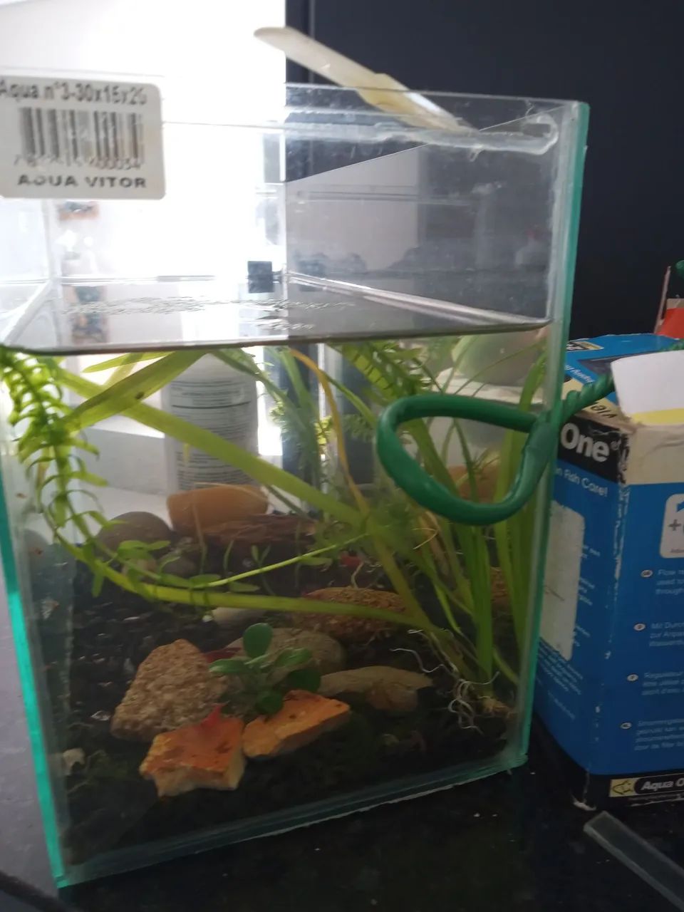 Aquario - Foto 3
