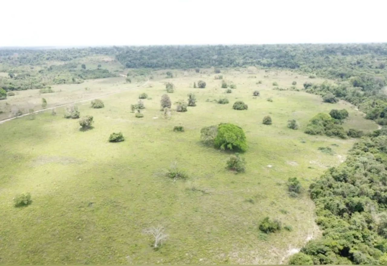 Vendo fazenda no Pará  - Foto 4