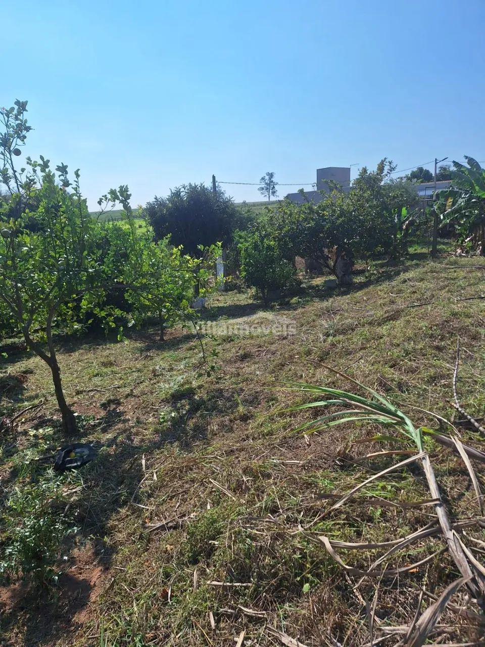 terreno - Chácara Cruzeiro do Sul - Sumaré