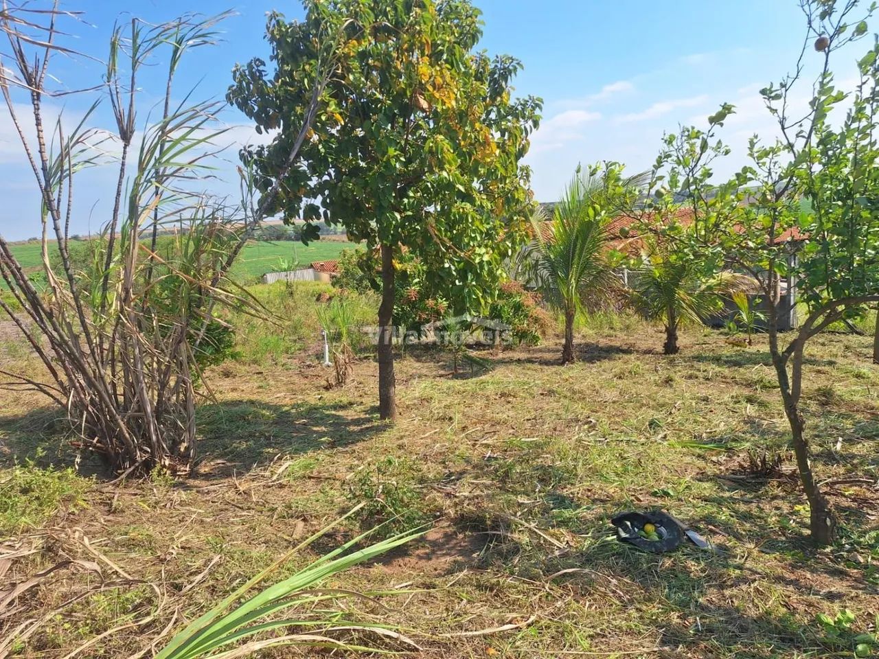 terreno - Chácara Cruzeiro do Sul - Sumaré - Foto 5
