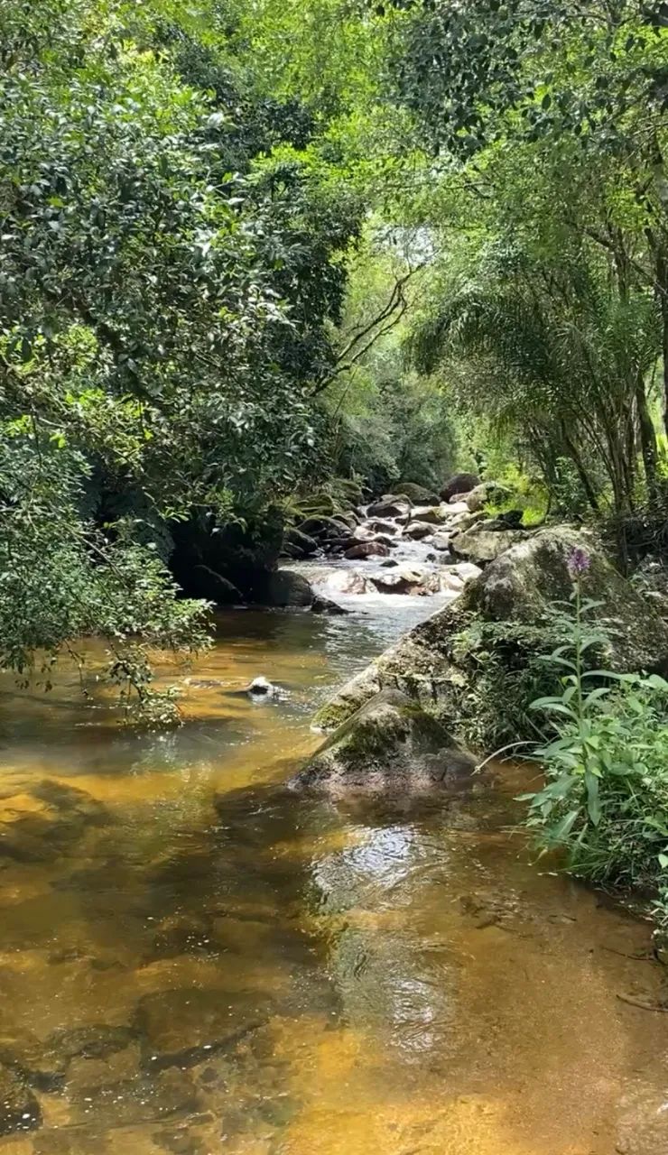 SÍTIO À VENDA - ANITÁPOLIS/SC