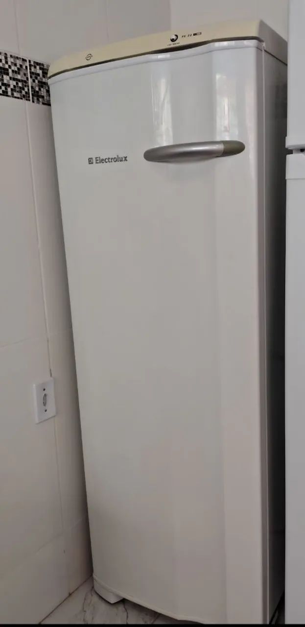 Freezer vertical