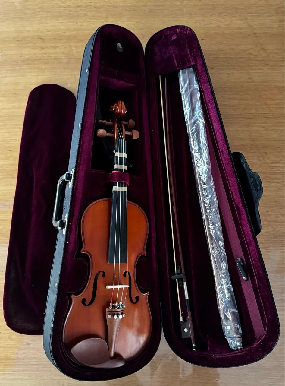 Violino Michael com case e acessórios 