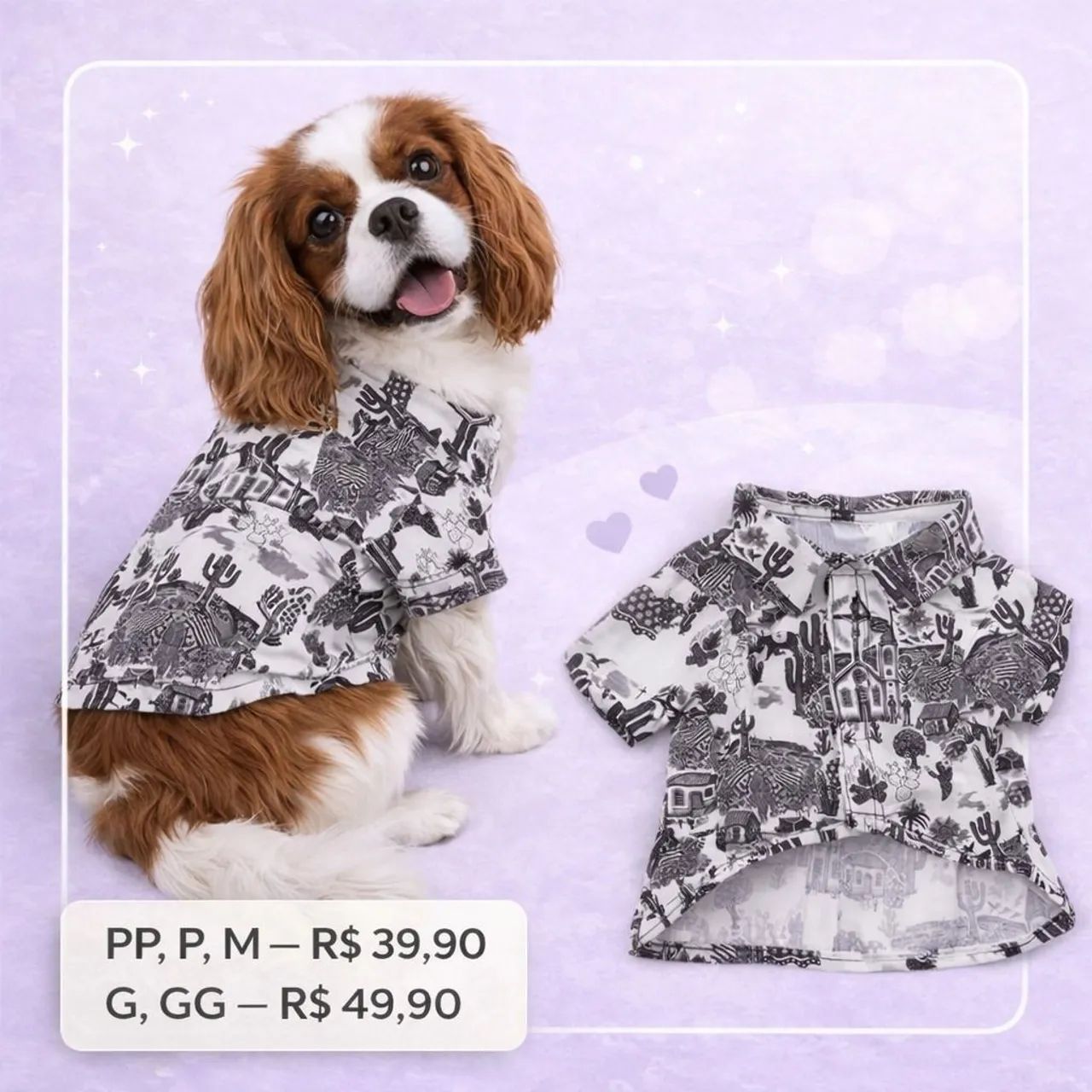 Roupas pets  - Foto 2