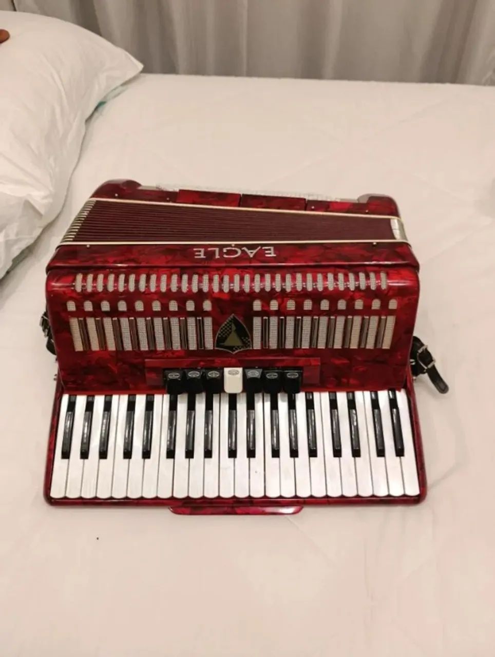 Sanfona Acordeon Eagle 120 baixos