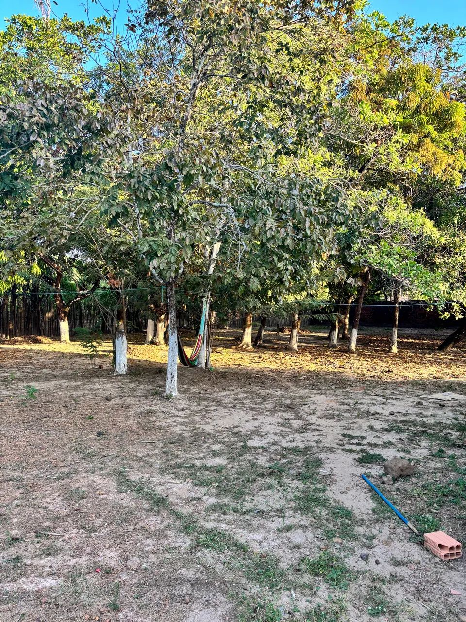 Casa no Maracanã - Foto 3