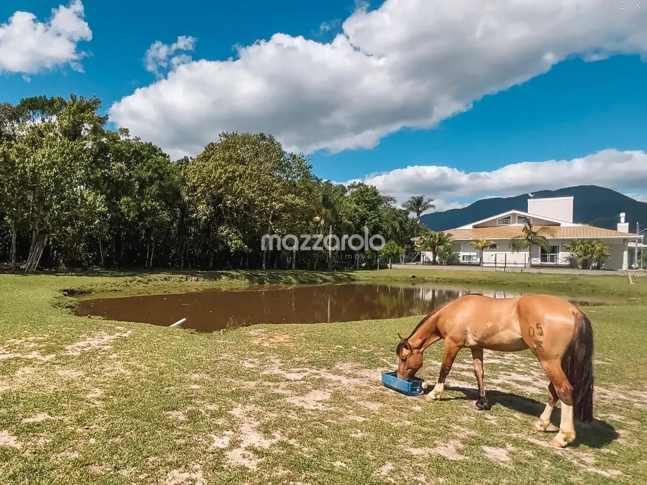Terreno 585m² em condomínio fechado em Santo Amaro da Imperatriz - Foto 2