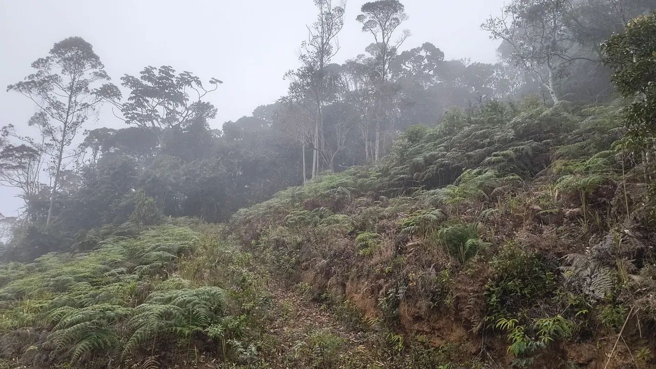 Vendo terreno em santa Teresa a 9 km da cidade  - Foto 3