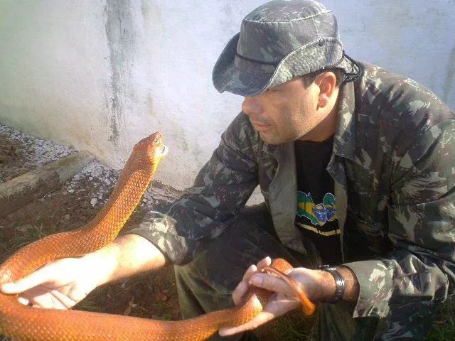 Curso sobre Serpentes e criação para produção de veneno. - Foto 2