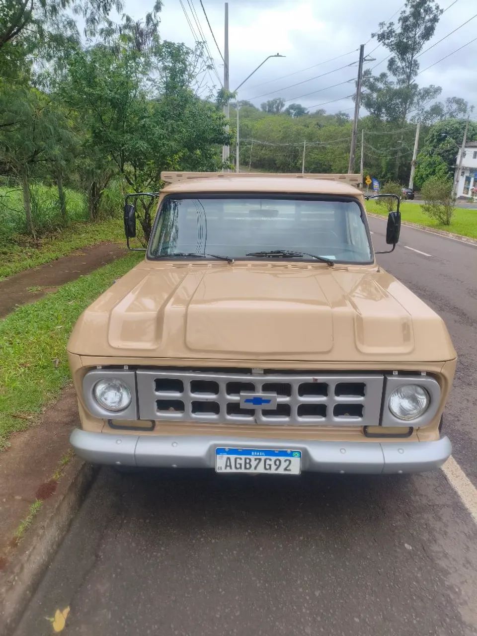 Chevrolet D-10 CD Diesel 1981 - Foto 2