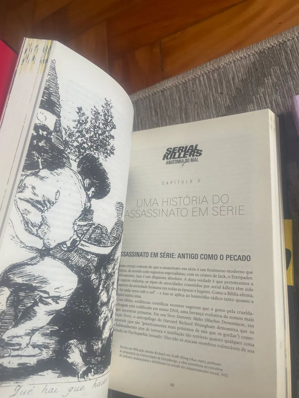 Combo de livros - Foto 2