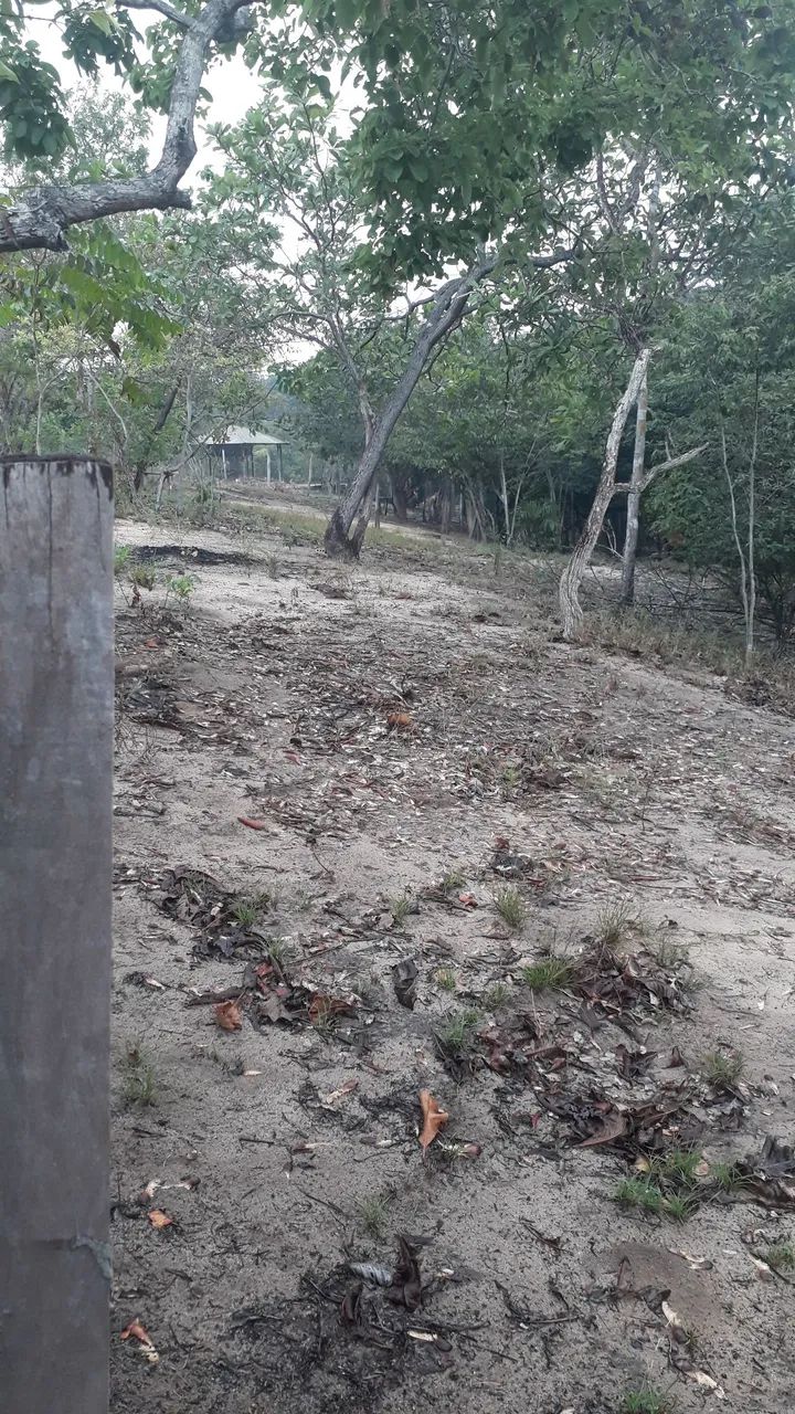 TERRENO EM ALTER DO CHAO - Foto 7