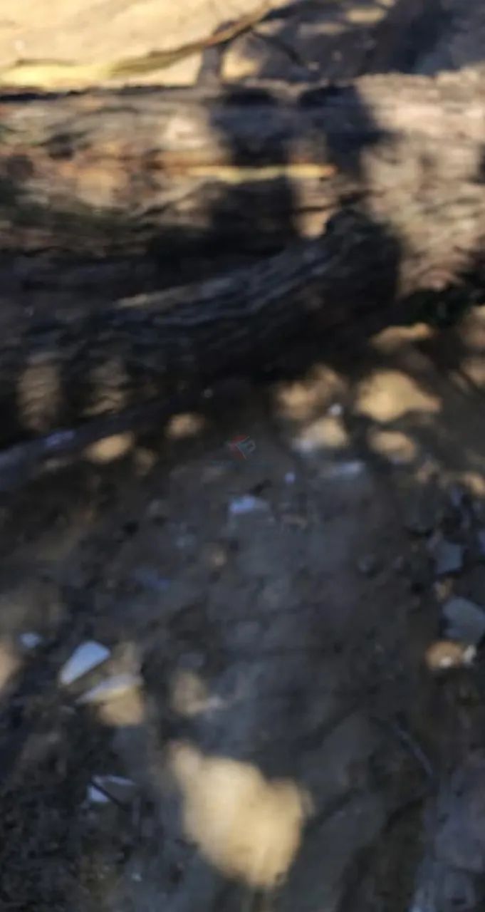 Terreno à venda em Monte Mor, Jardim Alvorada - Foto 5