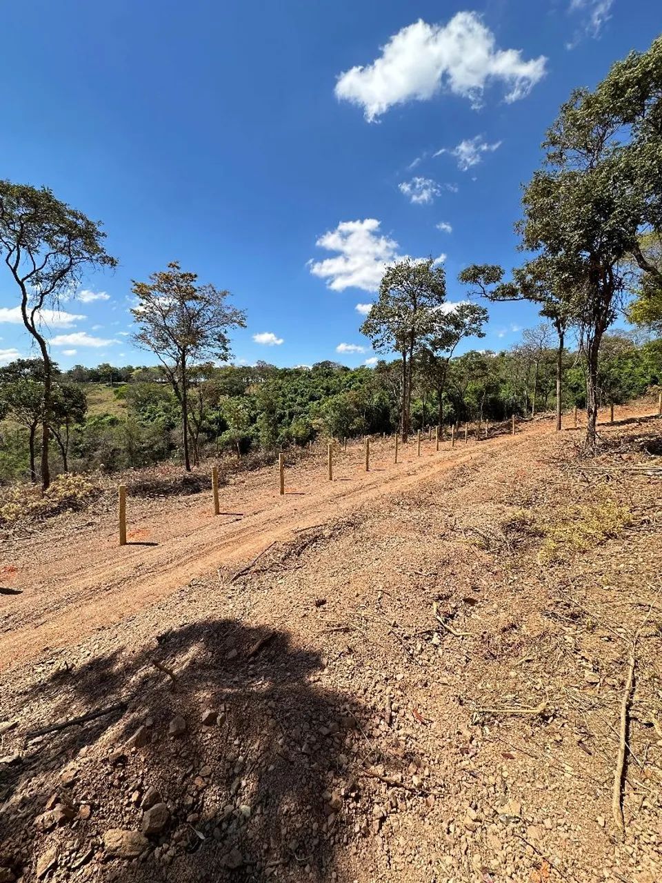 Sítio 2,5 hectares sem benfeitorias  - Foto 2
