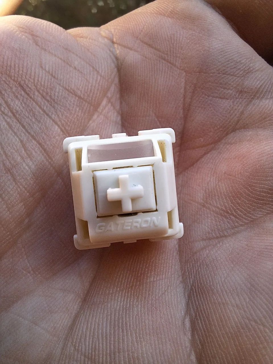 Switchs Gateron Smoothie 90unds