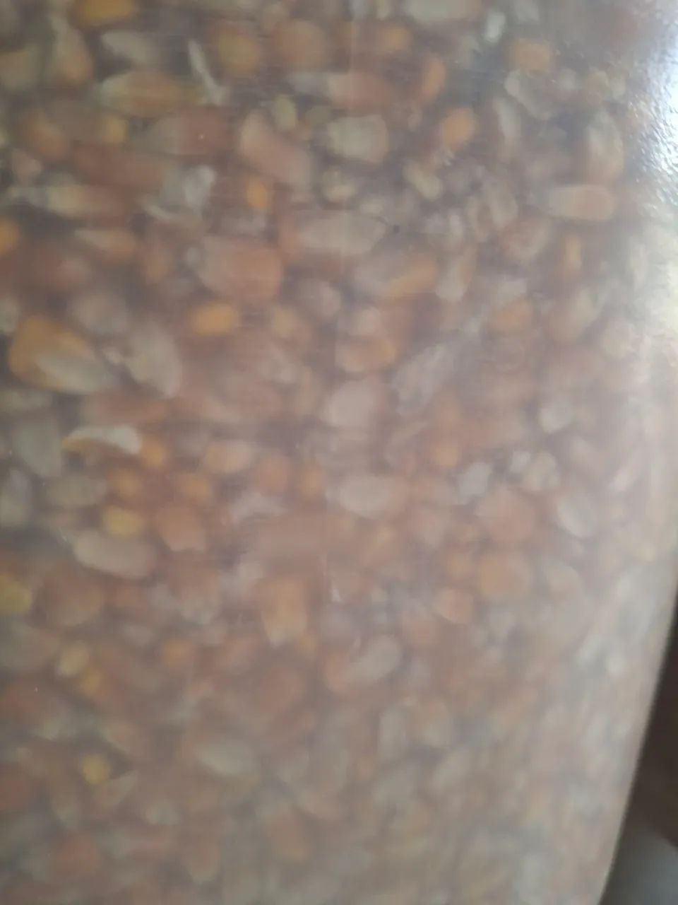 Milho saco 50 kg