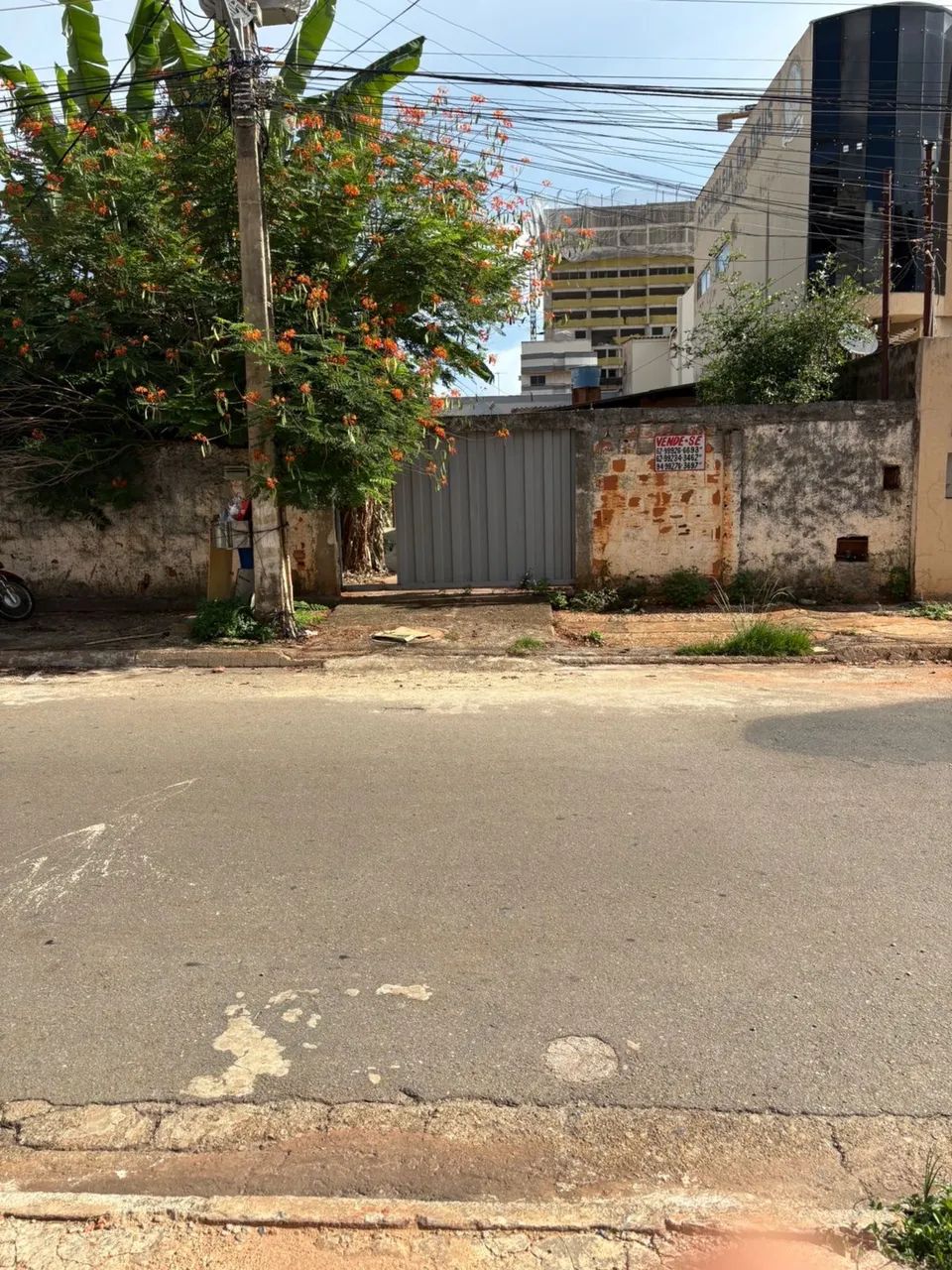Foto - Goiânia - Jardim América