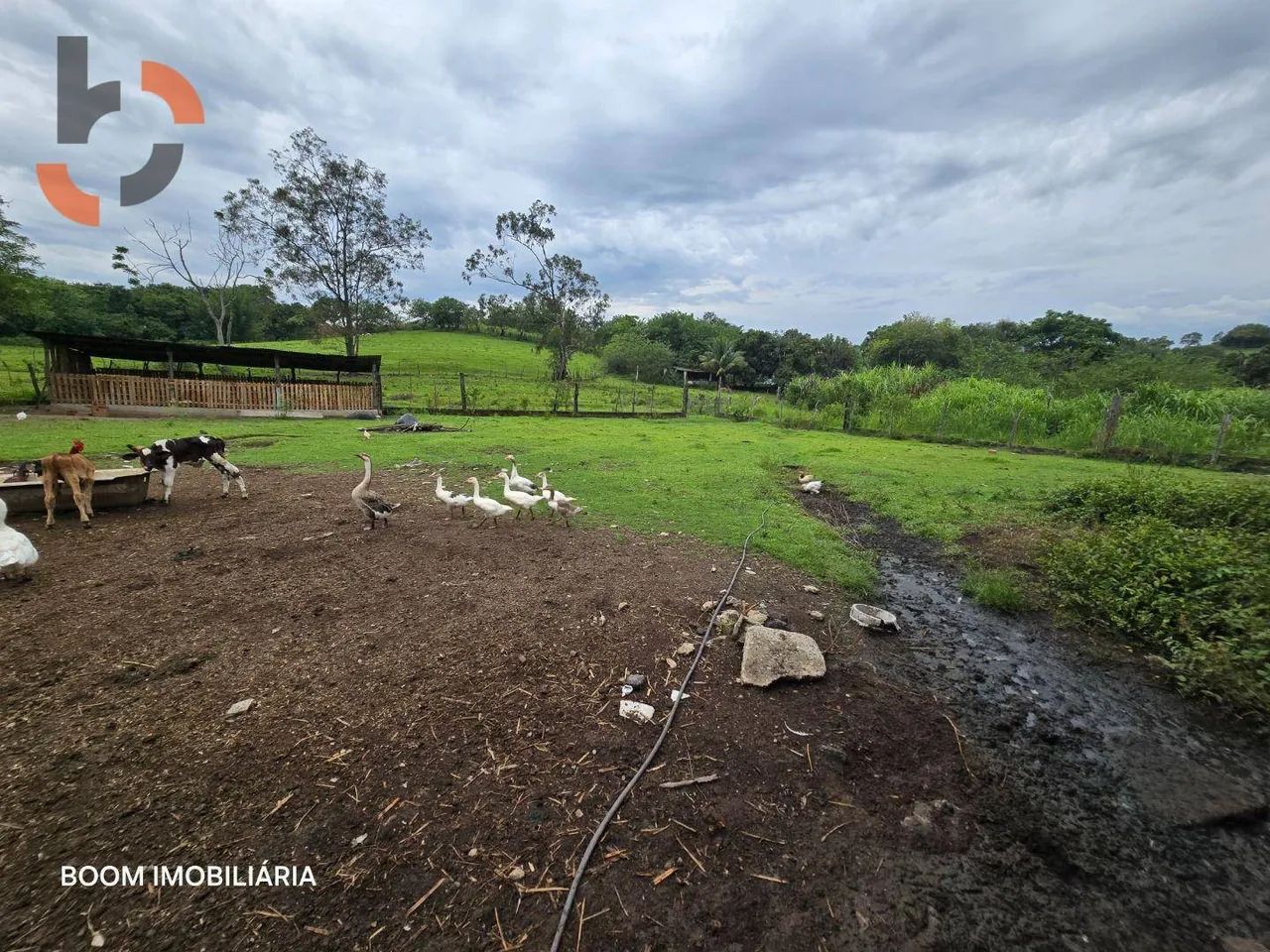 Sítio com 1 dormitório à venda, 36480 m² por R$ 3.000.000,00 - Santa Rosa - Queimados/RJ - Foto 12