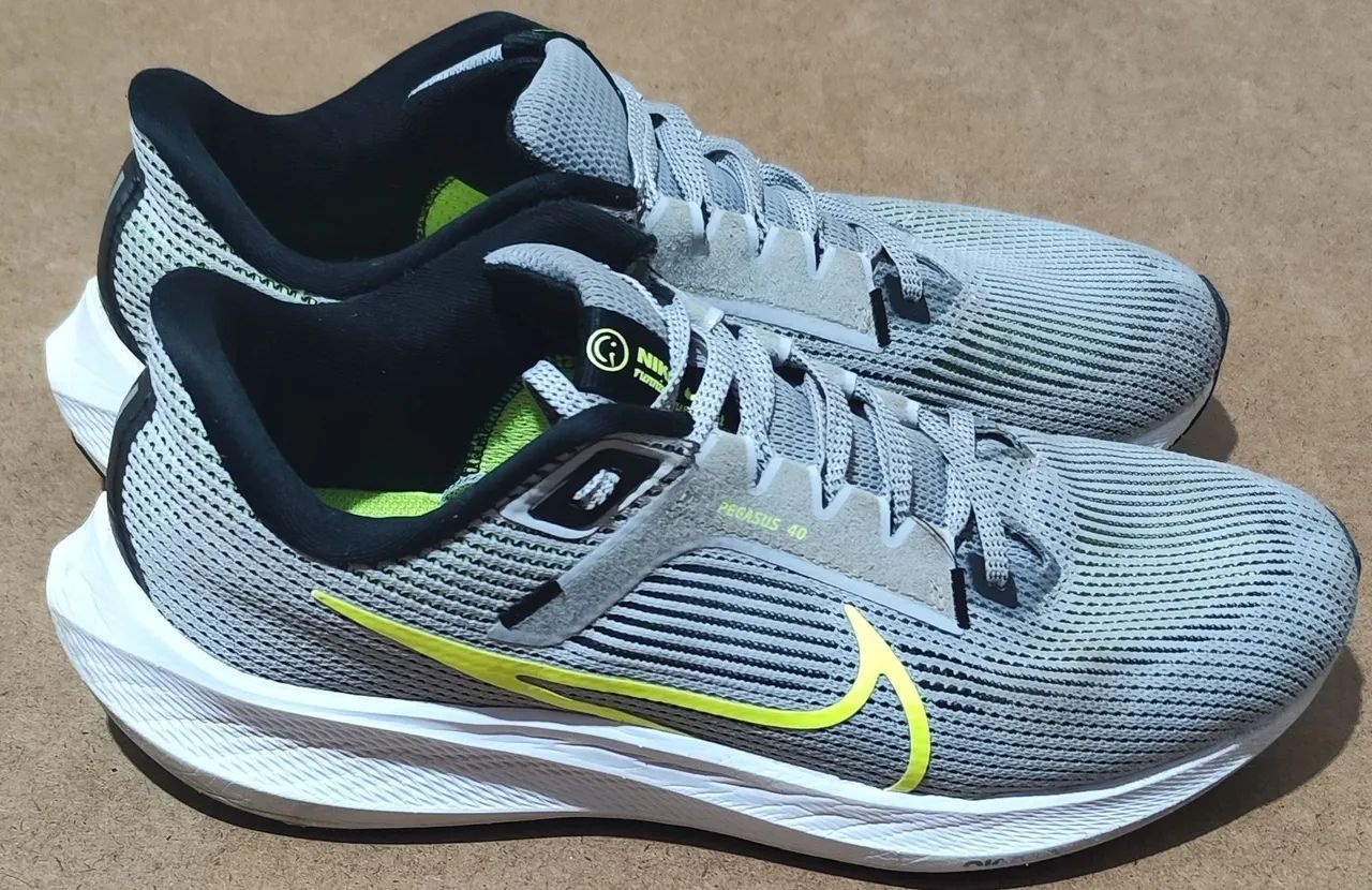Pegasus 40 (Brinde Pegasus 39)