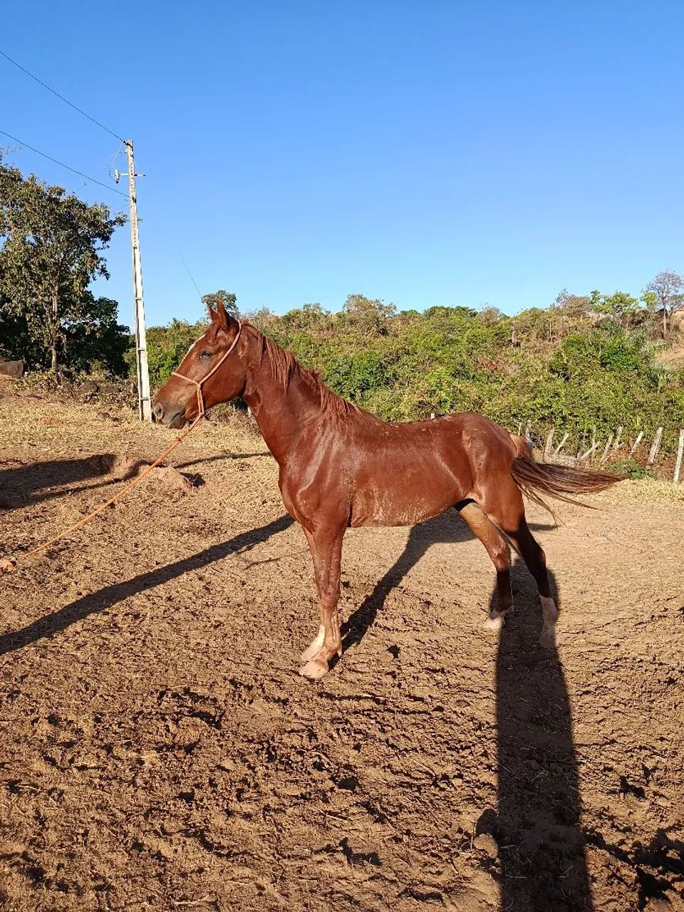 vendo ou troco  - Foto 5