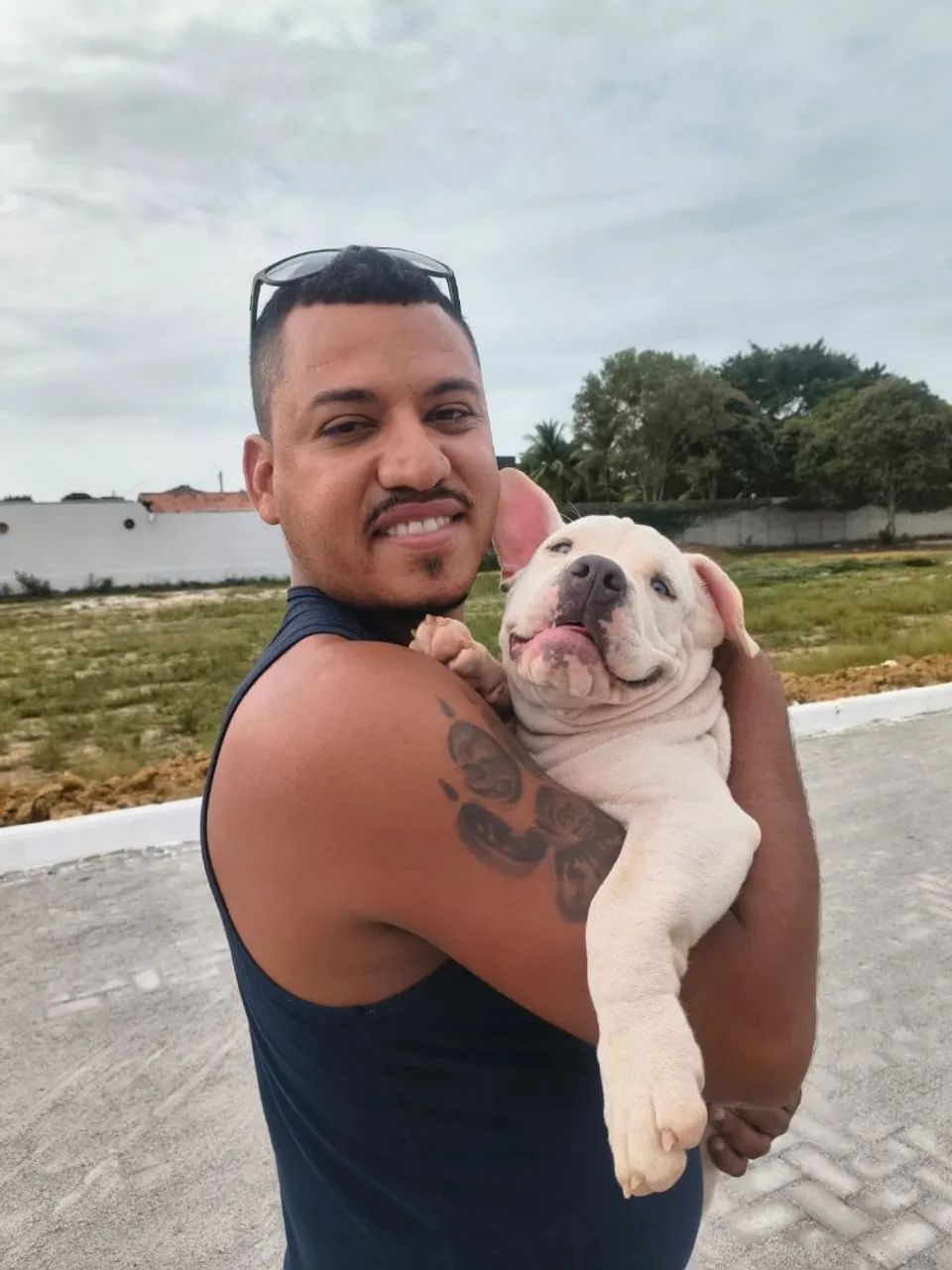 América Bully linda  - Foto 3