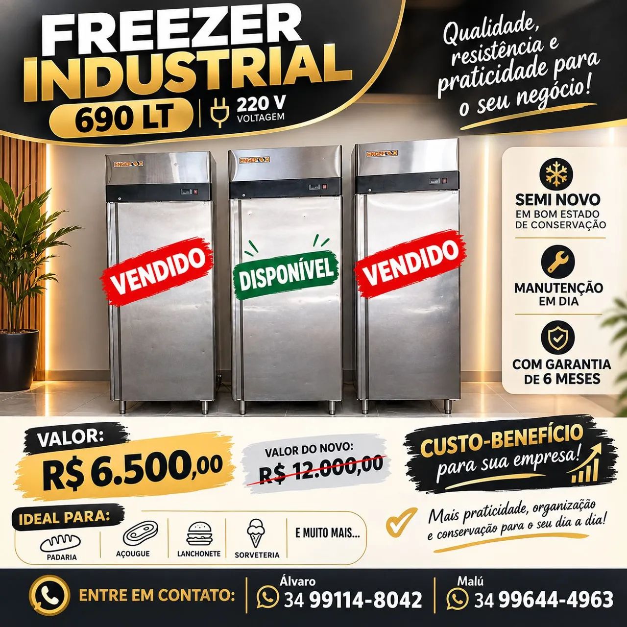 Freezer Industrial 