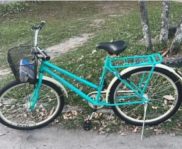 Bicicleta  - Foto 2