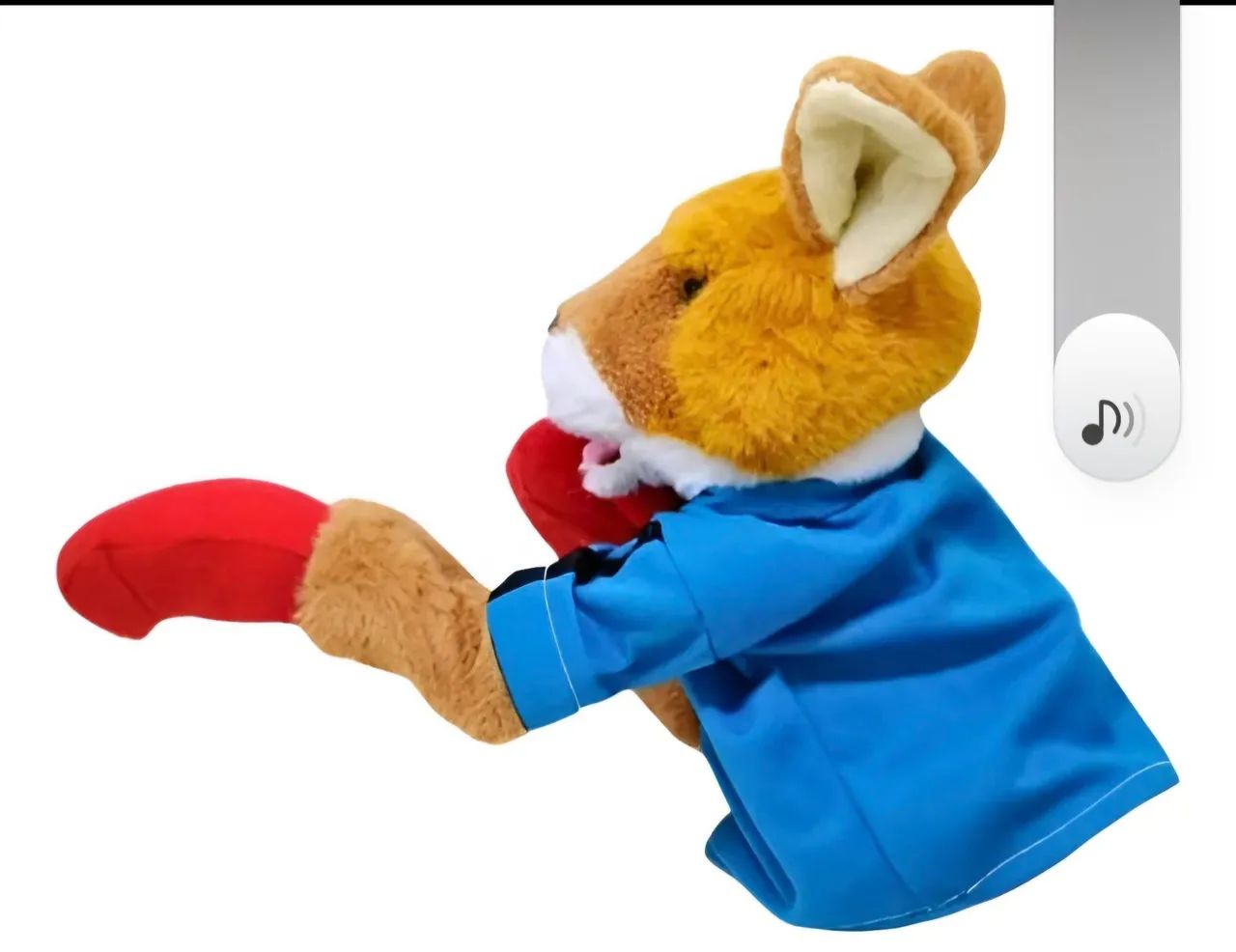 Canguru boxeador - Foto 2