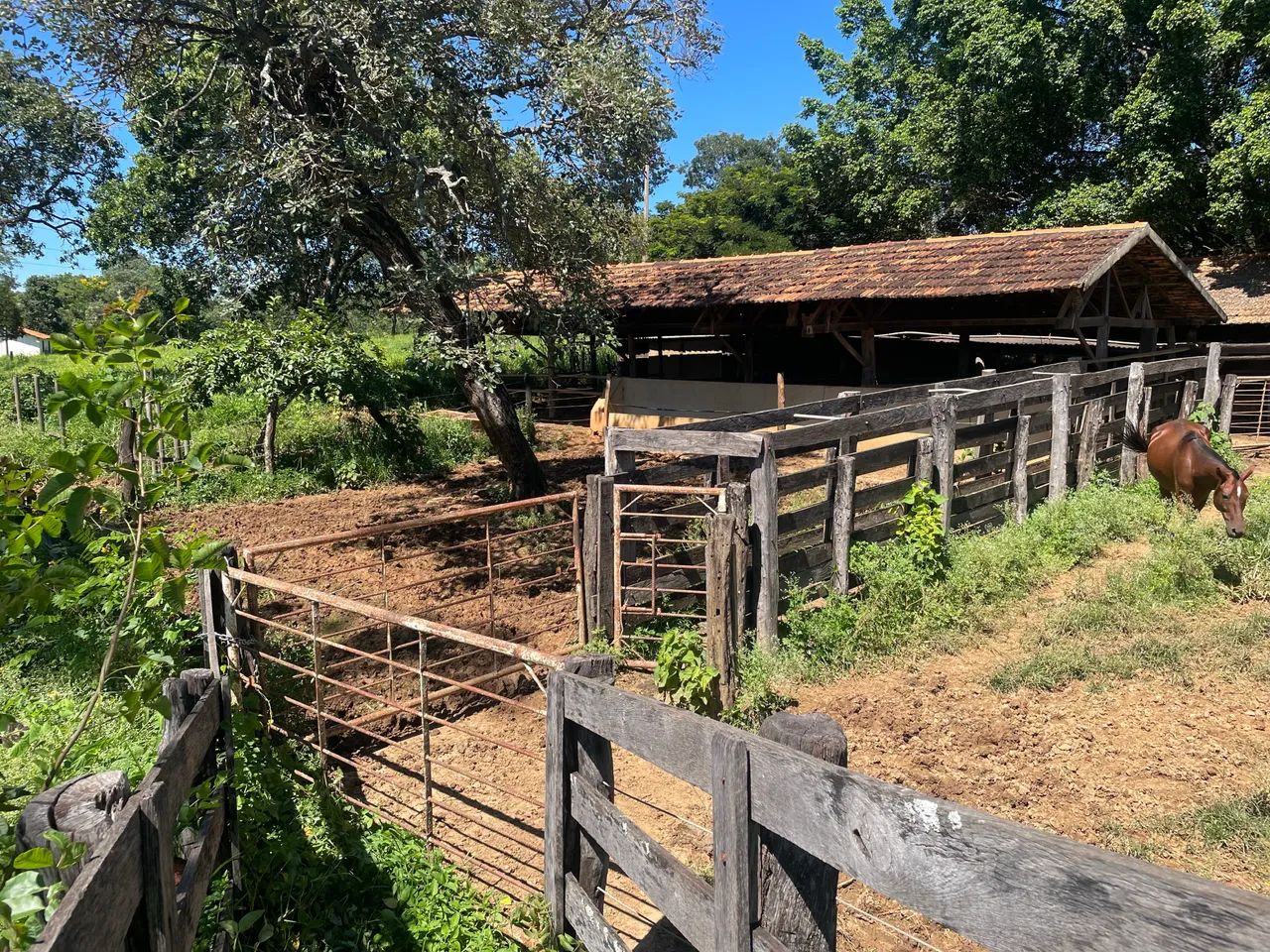 Fazendinha em terreno , a4km de Baldim - Foto 5