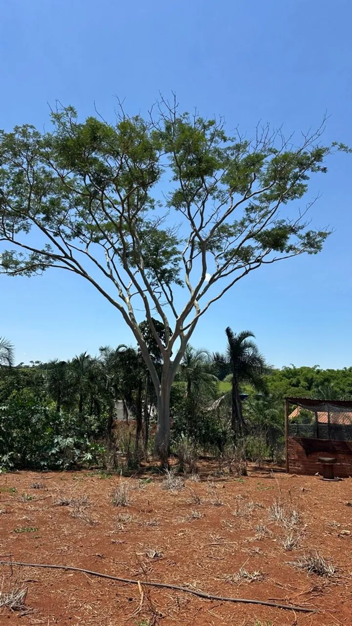 Lote de Chácara goianira  - Foto 4