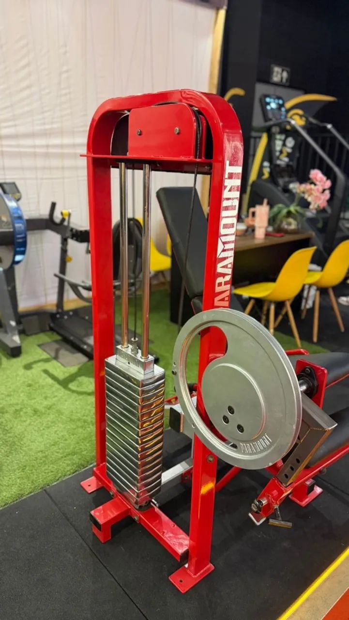 EXTENSORA PARAMOUNT - Foto 2