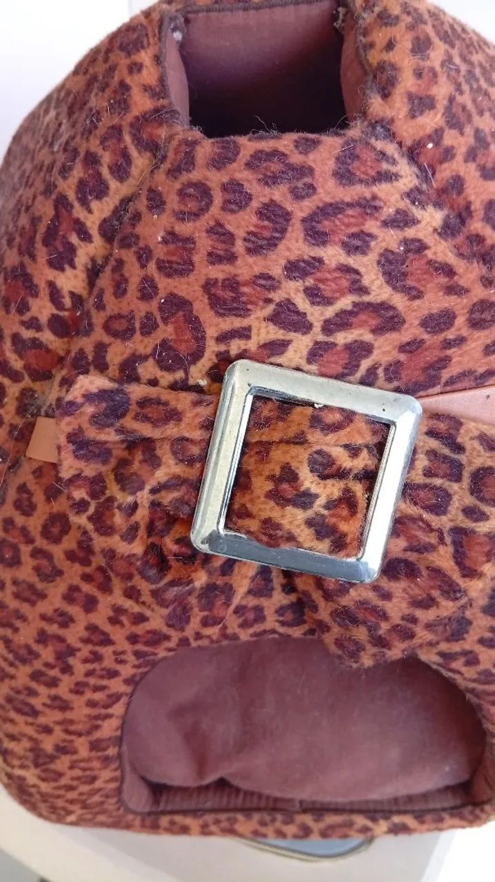 Casinha - Foto 3